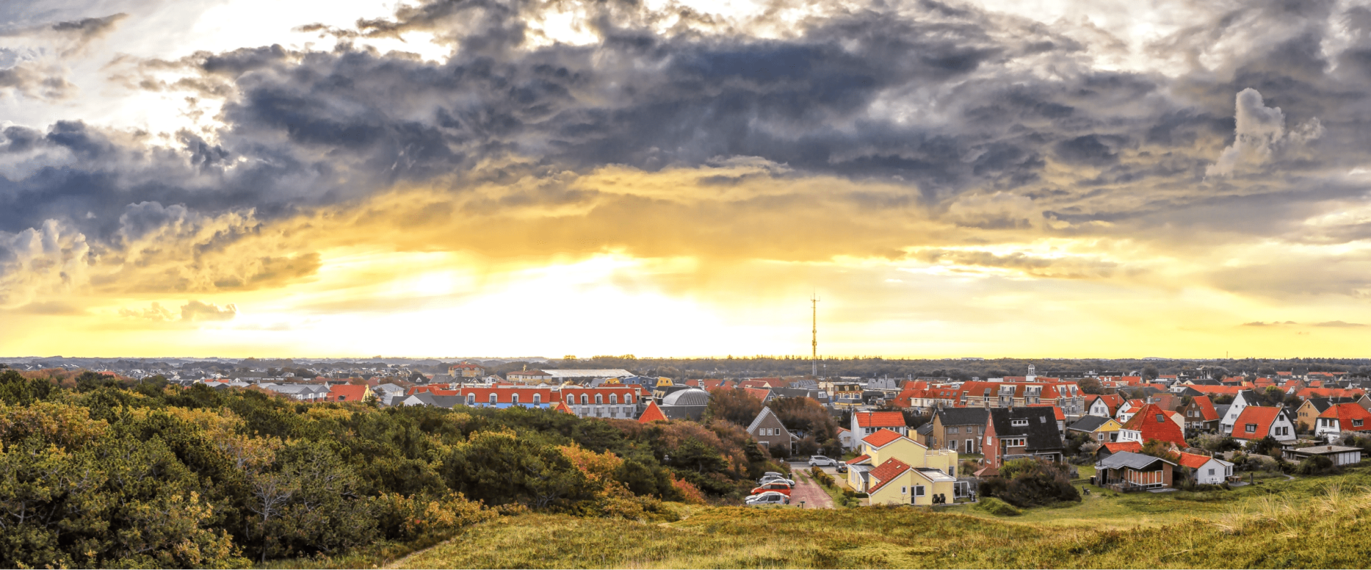 Texel landscape img